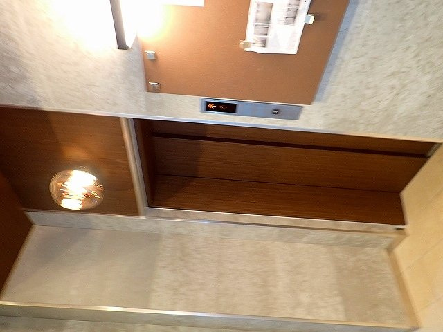 LUMIEC un HONGOのその他