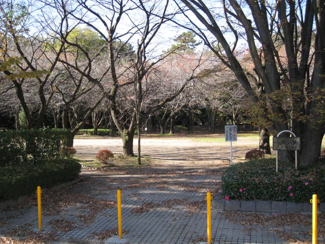 サラス　オーロの周辺|八幡公園まで325ｍ