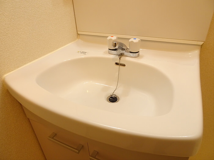グリーンハウス3の洗面所