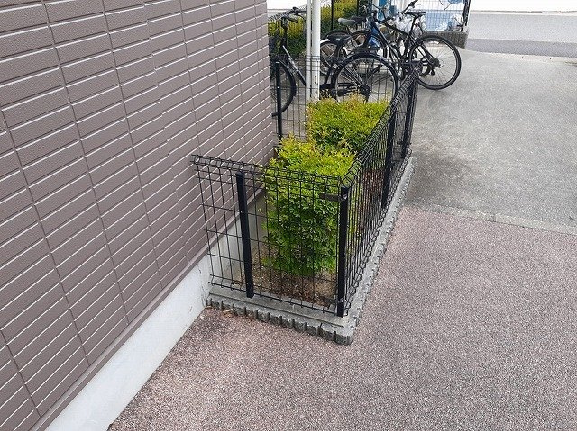 シャロ－ゼＩのその他