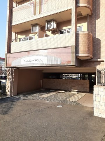 ラモーリ緑のその他