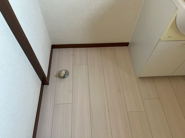 シャーメゾンさくら坂Ｅのその他