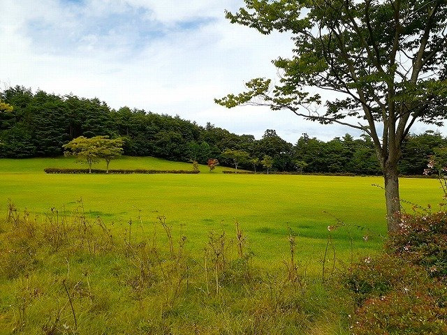 フォルシュ　Ｕ．Ｎ．Ｂの周辺|県立小泉潟公園まで1062m
