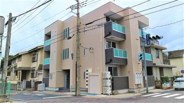 Ｒｅｇａｌｅｓｔ　Ａｌｐｈａの外観