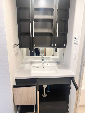アーバネックス住吉の洗面所