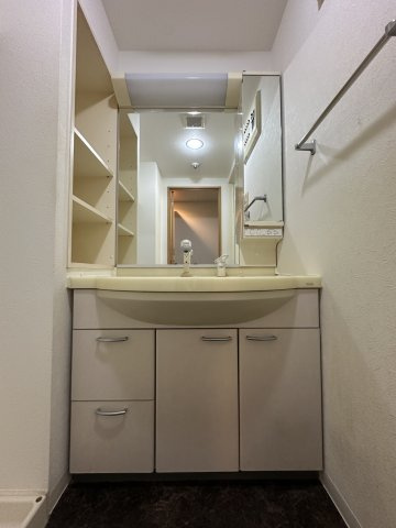 大阪市西区江戸堀１丁目の賃貸マンションの洗面所