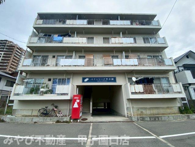 パインリーフ甲子園