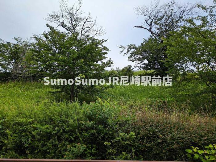 リバーサイド若林の展望