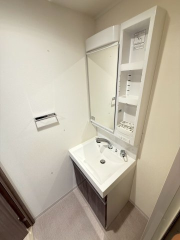 プランドール北浜の洗面所