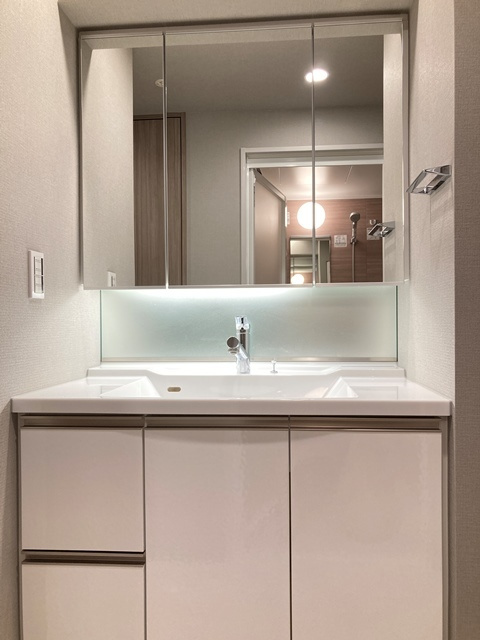 ブランズ神楽坂の洗面所|※写真は同タイプ住戸です。