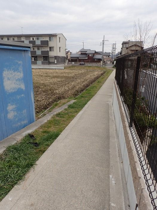 Ｔｅｌｌ ｍｅ 和華の周辺