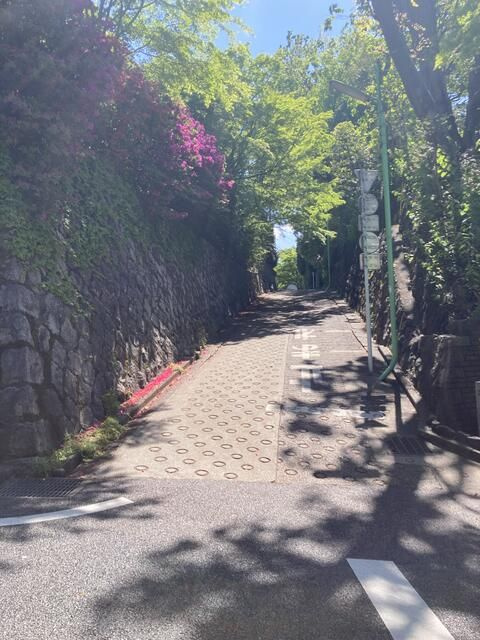 Ｋハウスのその他