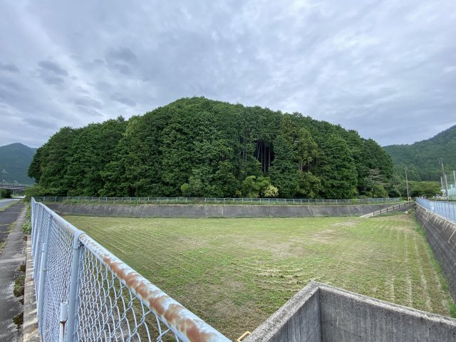 丹波市青垣町田井縄の中古一戸建のその他|山林