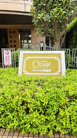 セザール浦和領家の外観|植栽までお手入れが行き届いておりますよ。管理員は日勤で平日の8時から12時の勤務です。