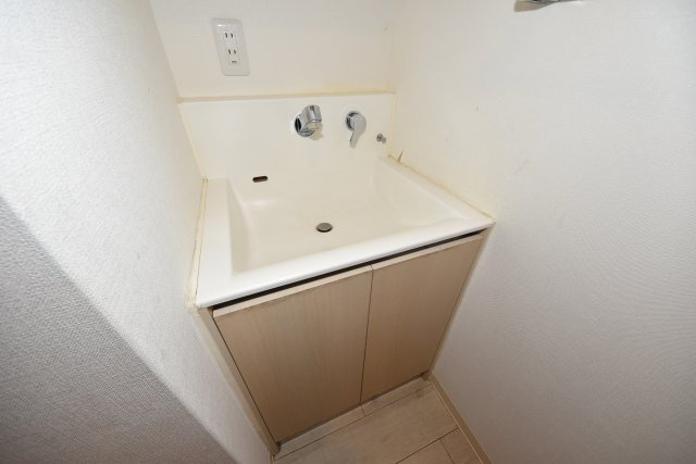 エムヒルズ南堀江サウスの洗面所
