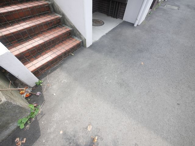 柿の木ハウスの駐車場