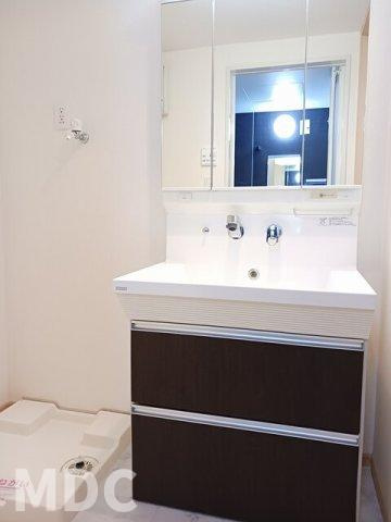 徳島市北常三島町３丁目の賃貸マンションの洗面所