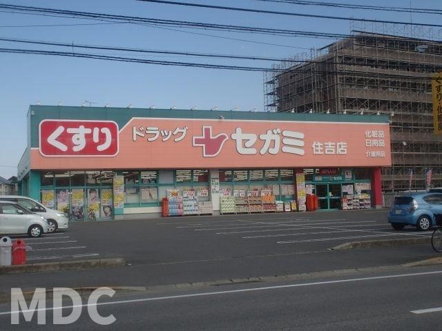 ブエナ・ビスタの周辺|セガミ徳島住吉店さんまで900m