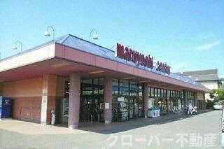 フェリス屋島Ⅱの周辺|マルヨシセンター牟礼店さんまで890m