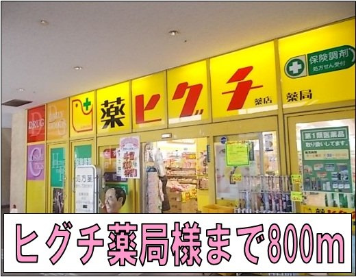 サンヒルズ　（岩田町）の周辺|ヒグチ薬局様まで800m
