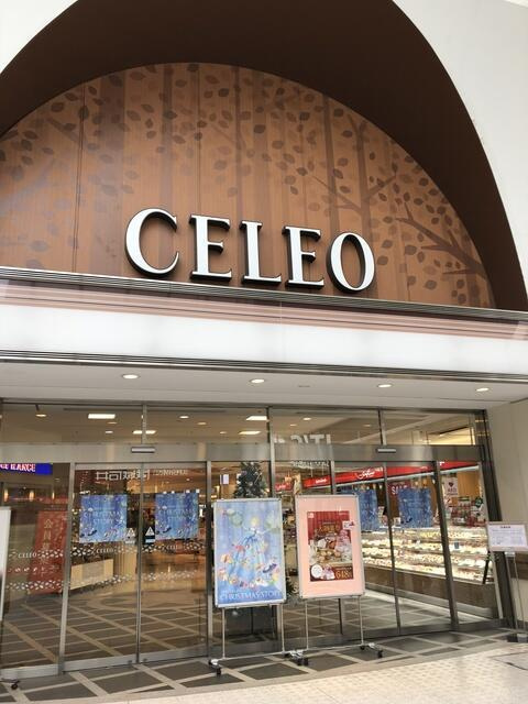 キャトルセゾン相模原の周辺|ライフ相模原駅ビル店まで721m