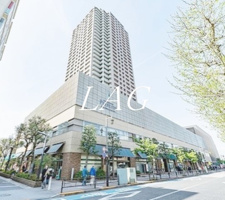 石神井公園ピアレス　ザ・タワーA棟の画像