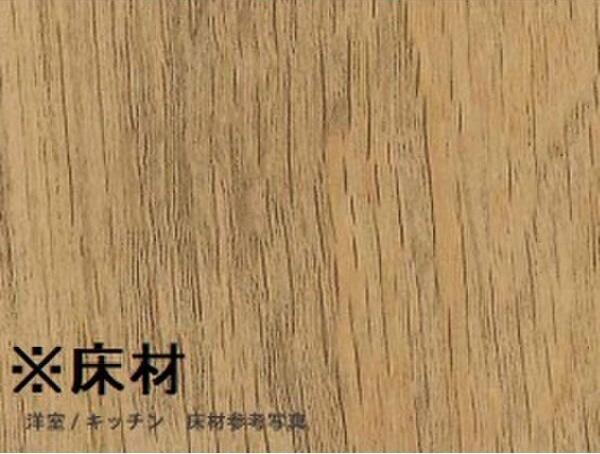 プラージュ柴田(プラージュシバタ)のその他