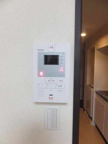 レオネクストノービレハルのその他