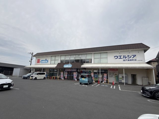 レオネクストアレグリーアⅡの周辺