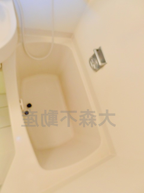 ルーブル大森Ⅱの浴室