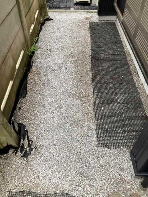 弦巻戸建の庭