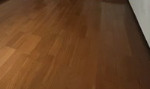 ドゥエルカネヒラの内装