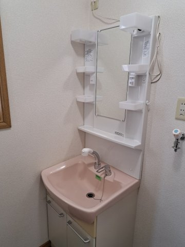 フラットUの洗面所