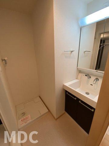 徳島市山城西４丁目の賃貸マンションの洗面所