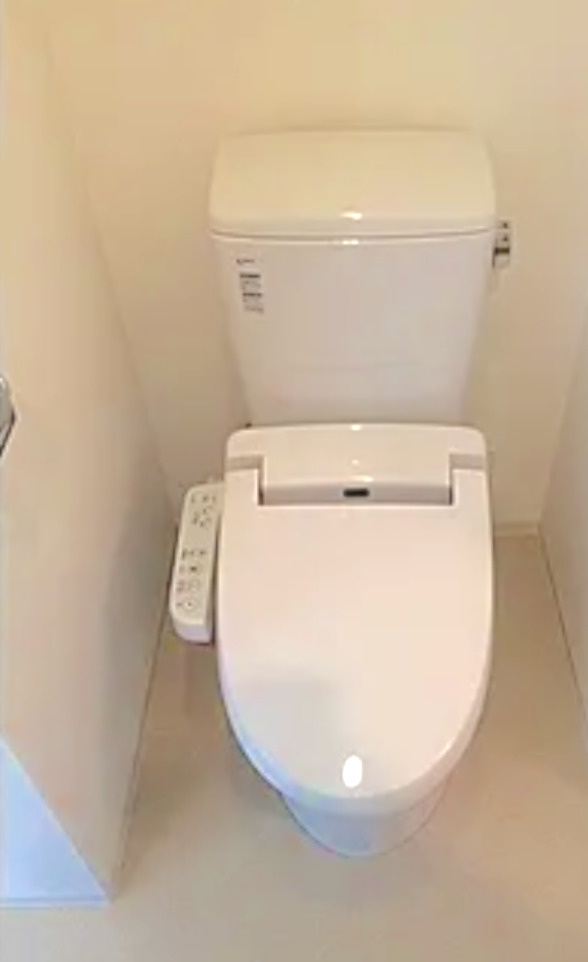 江東区亀戸４丁目の賃貸マンションのトイレ|トイレ