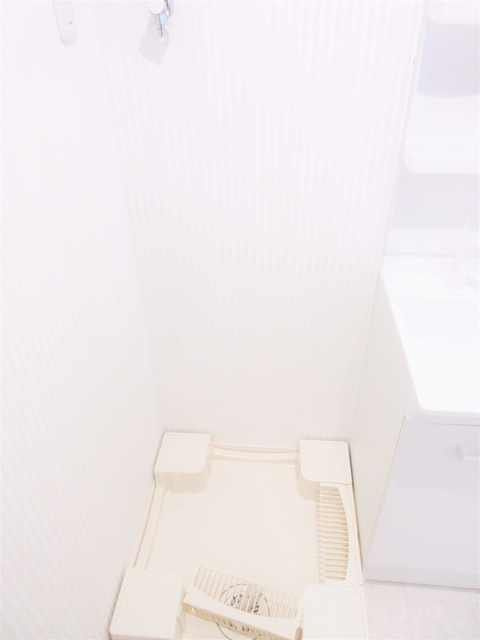 piccola forestaのその他