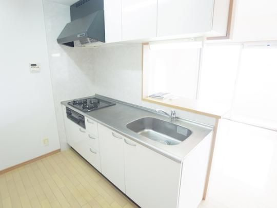 熊本市東区長嶺南６丁目の賃貸マンションのキッチン