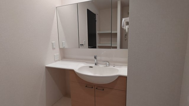 ハピネスの洗面所