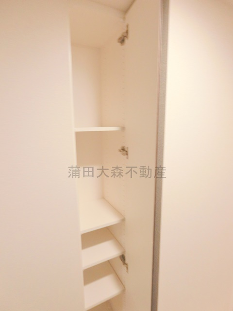 ライオンズ蒲田レジデンスの収納|洗面所収納