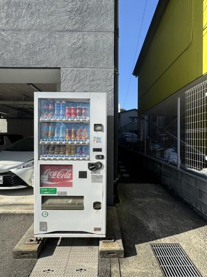 【周辺】 | ツリーハウス