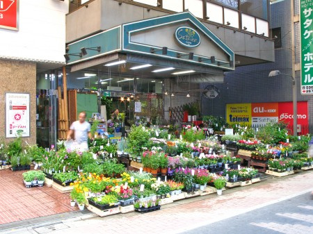 板橋区大山東町の賃貸マンションのその他