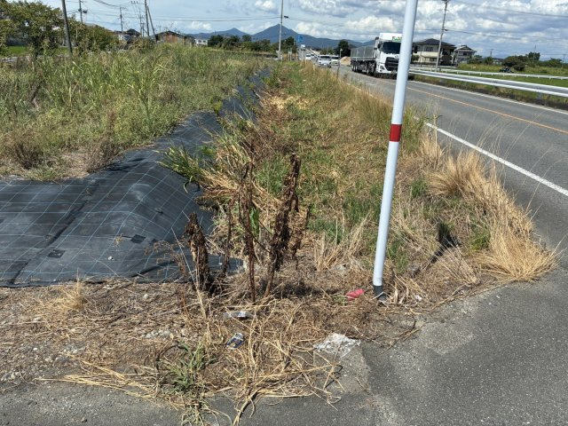 宇土市走潟町の売地の前面道路含む現地写真