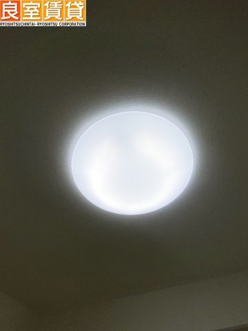 【その他】 | ツインアウルズ