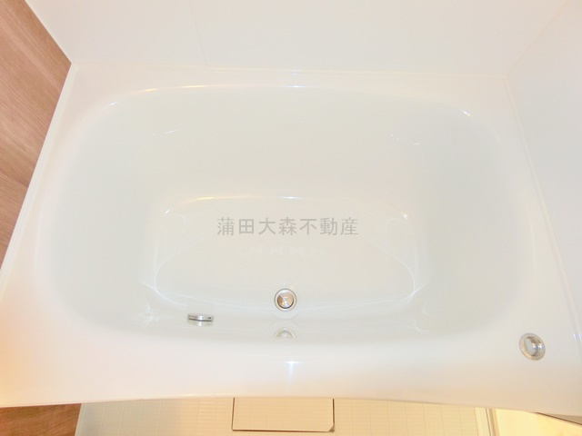 ウエルストン池上の浴室