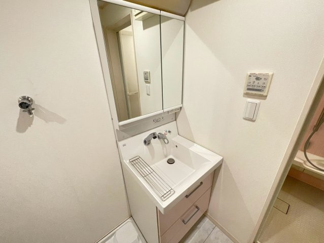シャイニング駒沢　ペット相談　角部屋　独立洗面台の洗面所