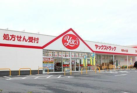 グランツのその他