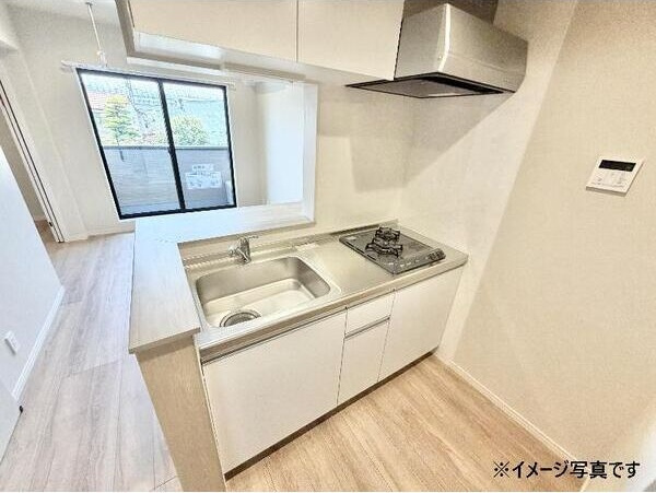 robot　home　鶴里Ⅱのキッチン
