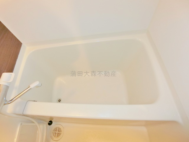 エステムプラザ蒲田TAKARABUNEの浴室