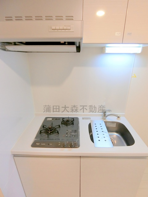 エステムプラザ蒲田TAKARABUNEのキッチン|2口ガスシステムキッチン