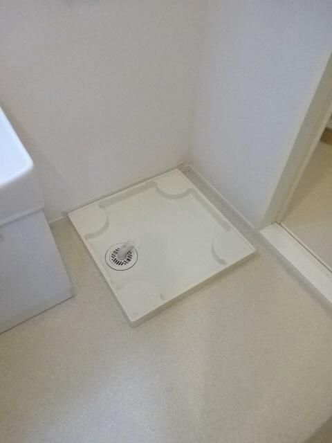 シャイニーのその他